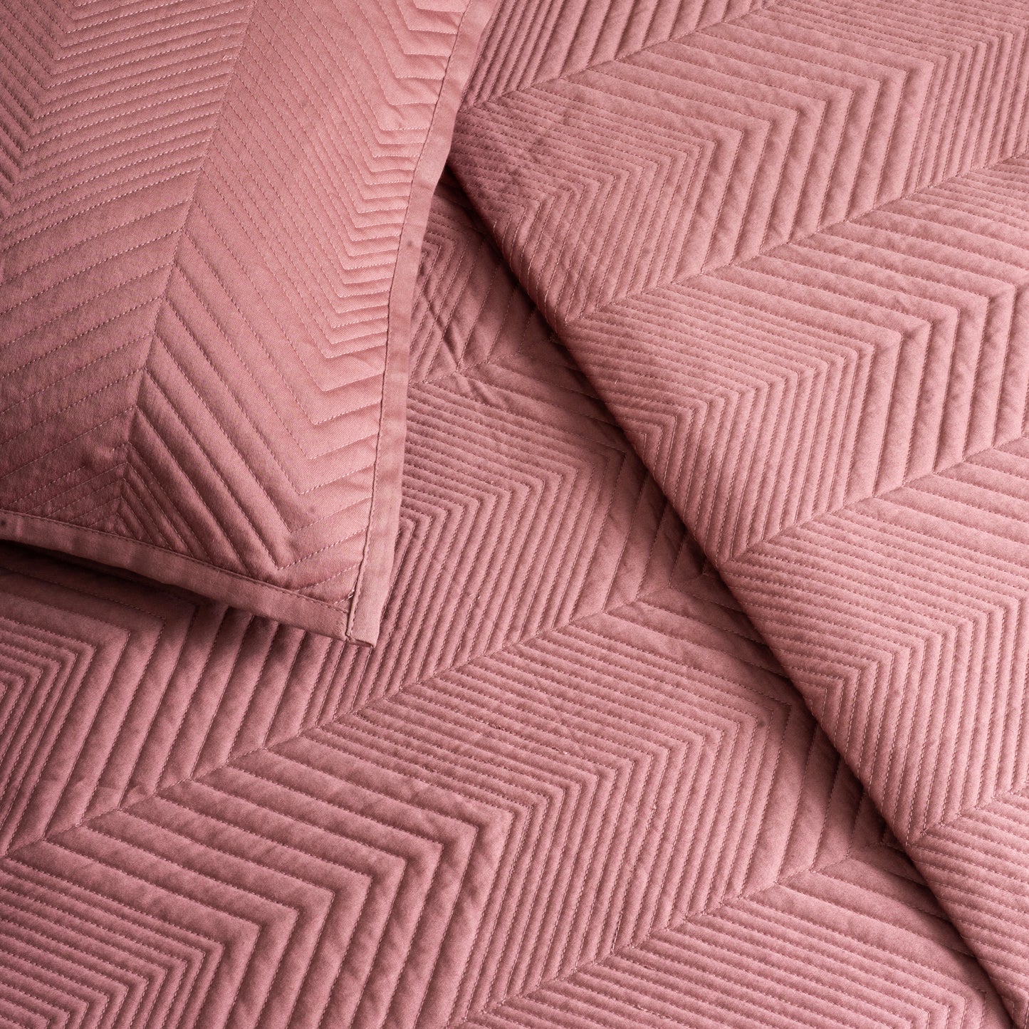 Blush Bloom - Bedspread